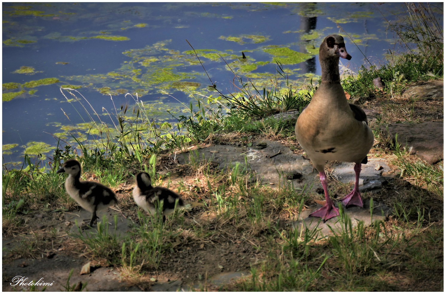 Ausflug der kleinen Familie (I)