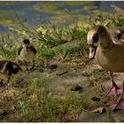 Ausflug der kleinen Familie (II)