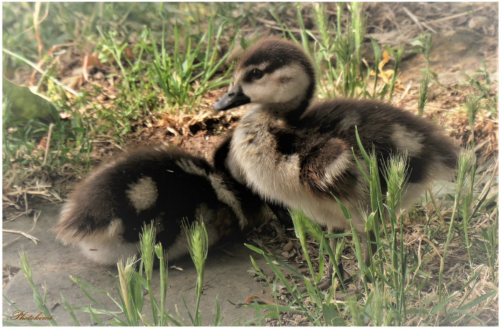 Ausflug der kleinen Familie (IV)