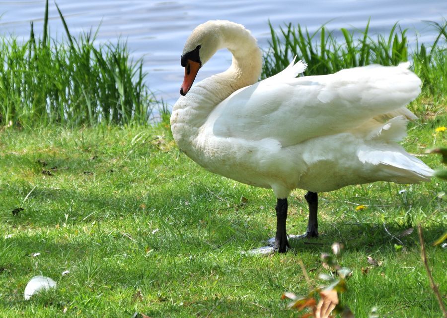 Ausflug durch den Park.