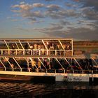 Ausflug im Chobe Nationalpark bei untergehender Sonne