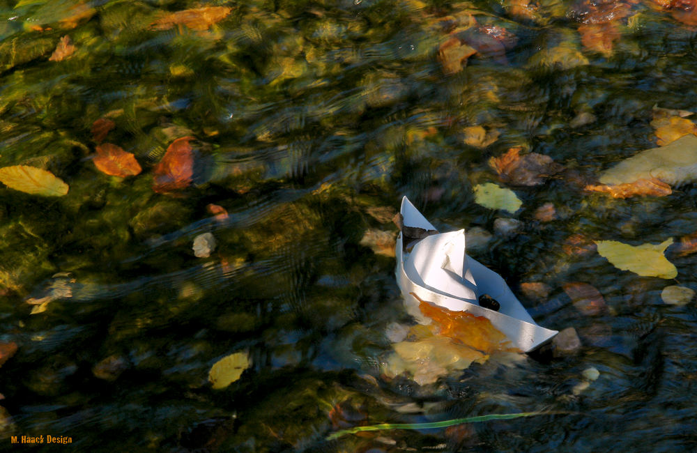 Ausflug im Herbst...