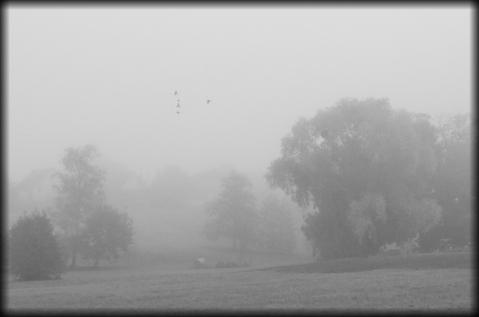 Ausflug im Herbstnebel