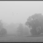 Ausflug im Herbstnebel