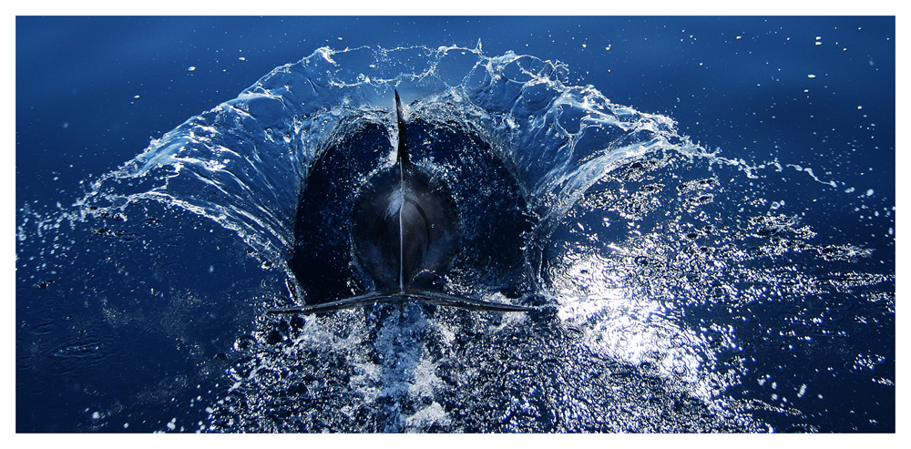 Ausflug im Mittelmeer