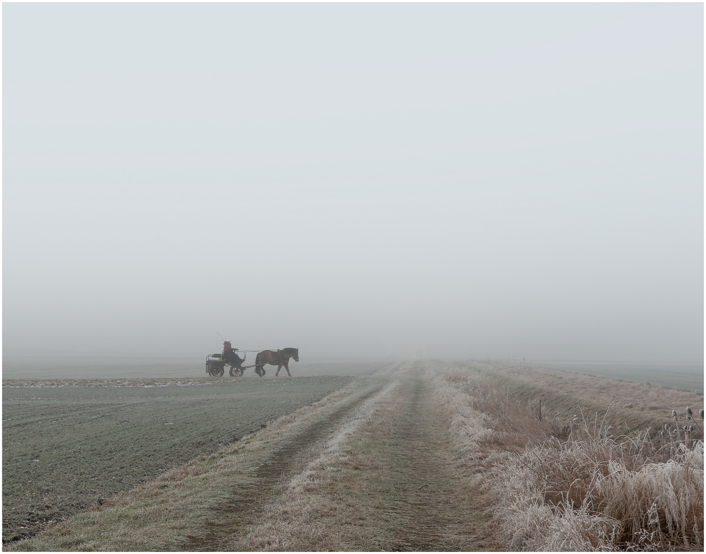 Ausflug im Nebel