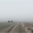 Ausflug im Nebel