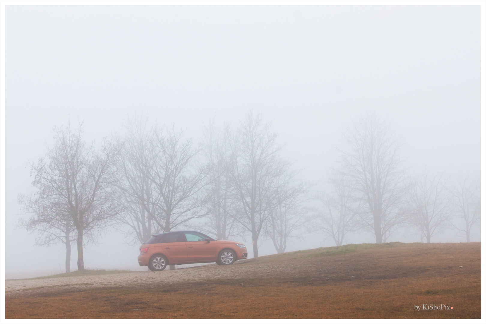 Ausflug im Nebel