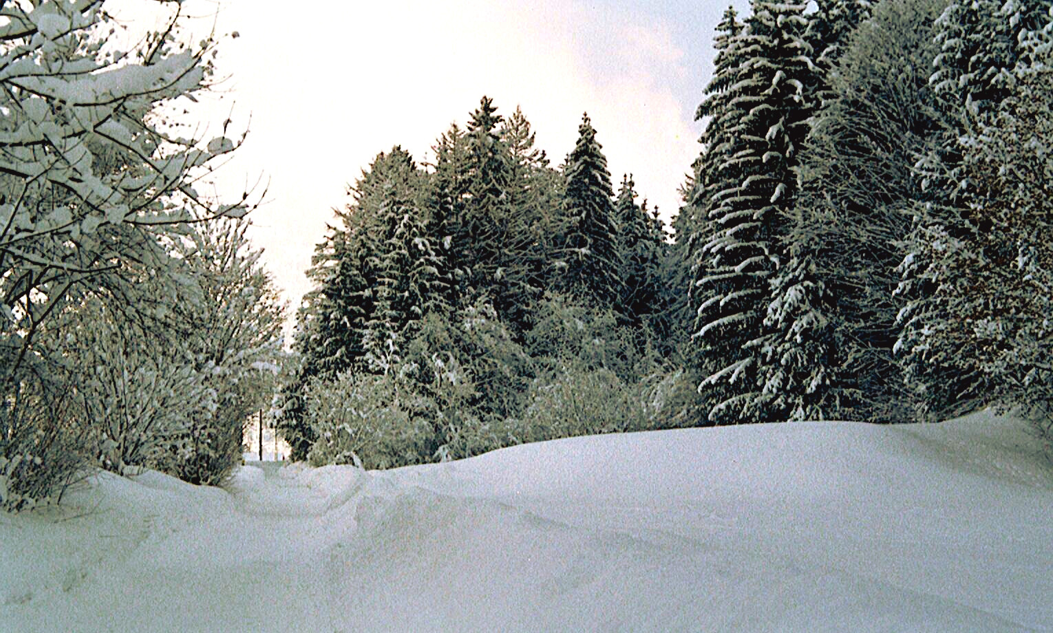 Ausflug im Schnee