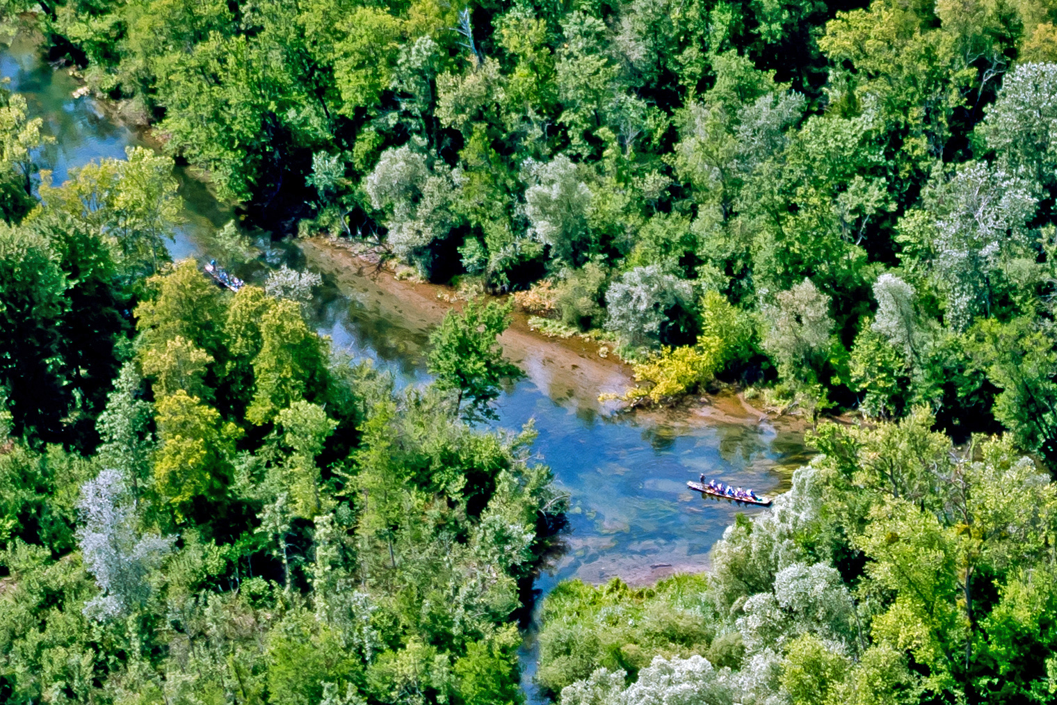 Ausflug im Taubergießen Rheinauen in Baden 