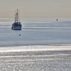  Ausflug im Wattenmeer