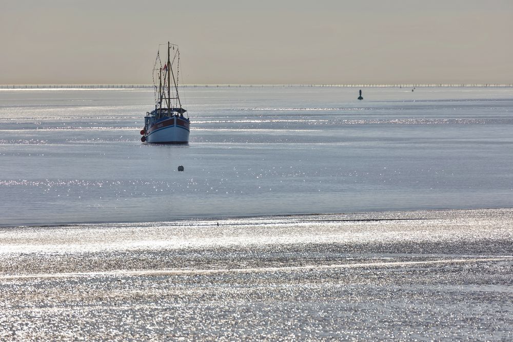  Ausflug im Wattenmeer