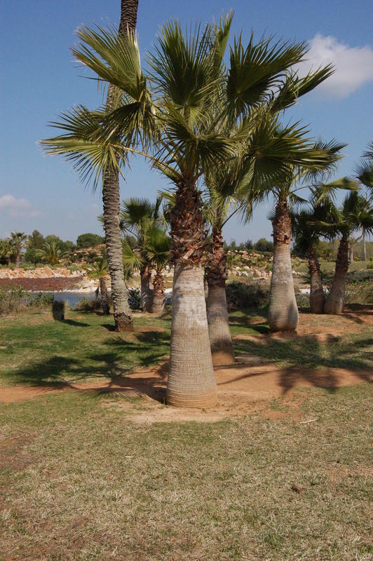 Ausflug in Botanikgarten in Ses Salines auf Mallorca