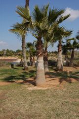 Ausflug in Botanikgarten in Ses Salines auf Mallorca