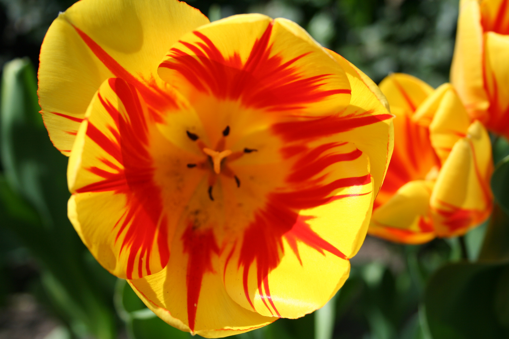 Ausflug in Botanischen Garten