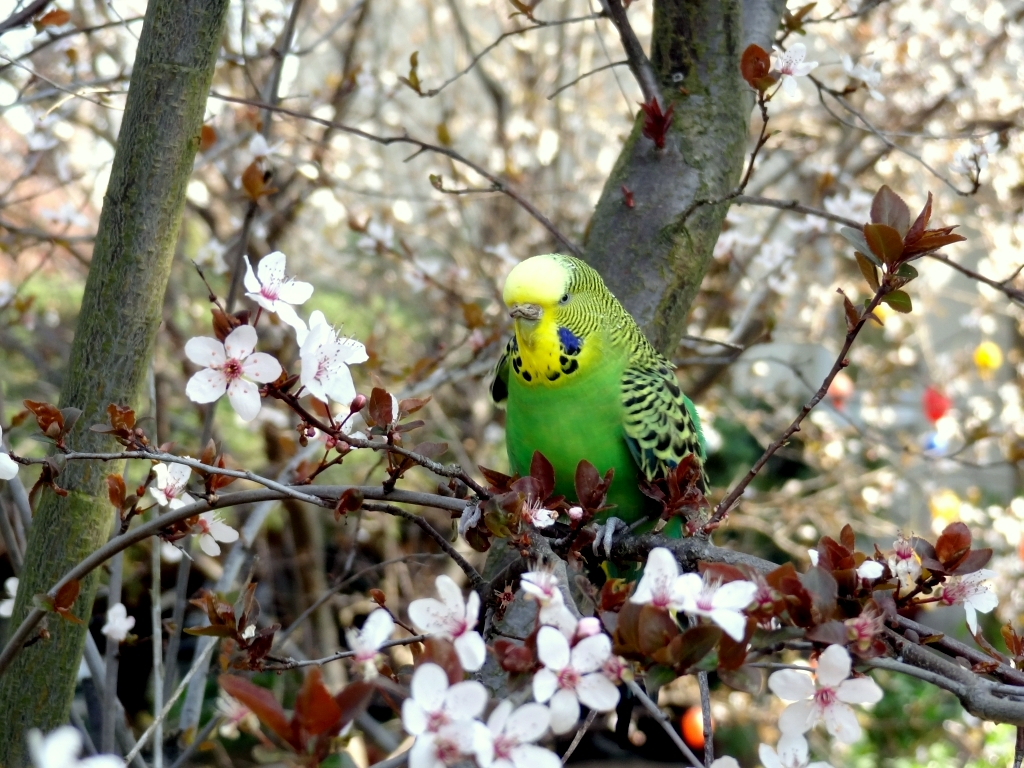 Ausflug in den Baum