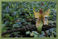 Ausflug in den Botanischen Garten