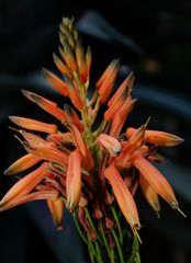 Ausflug in den Botanischen Garten