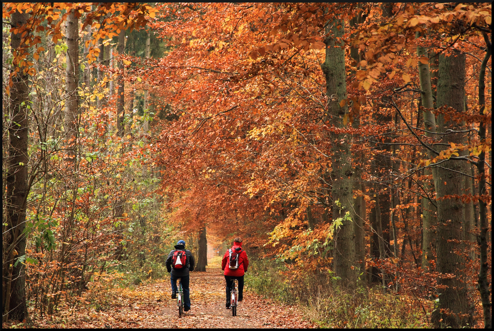 Ausflug in den bunten Wald