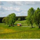 Ausflug in den Frühling