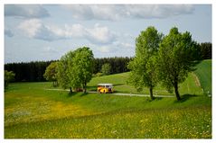 Ausflug in den Frühling