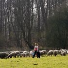 Ausflug in den Frühling