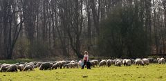 Ausflug in den Frühling