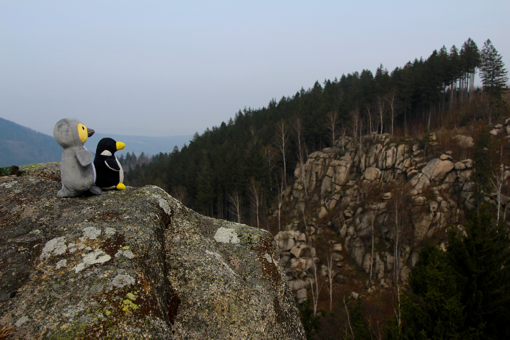 Ausflug in den Harz