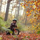 Ausflug in den Herbstwald