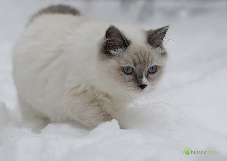 Ausflug in den Schnee