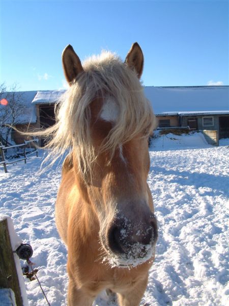 Ausflug in den Schnee