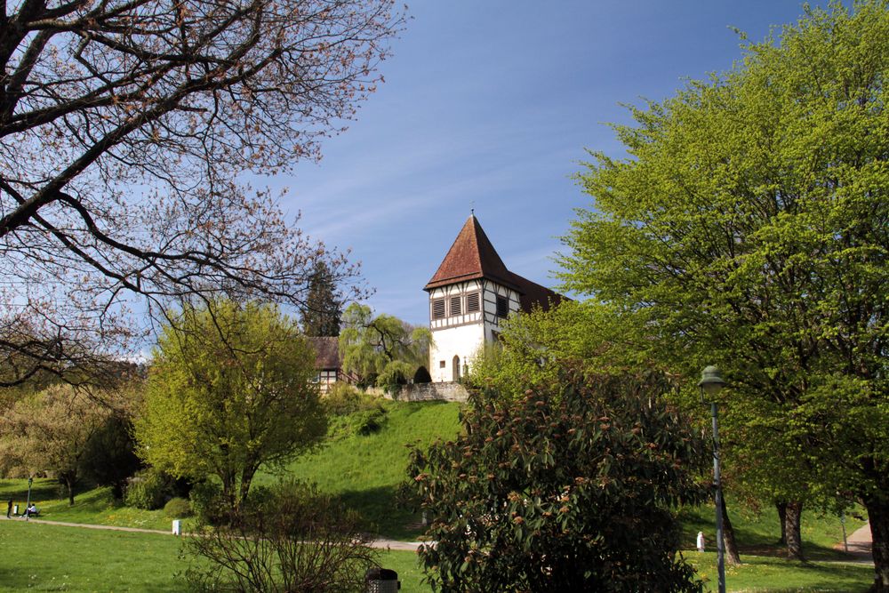 Ausflug in den schwäbisch fränkischen Wald