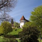 Ausflug in den schwäbisch fränkischen Wald