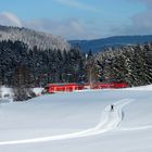 Ausflug in den Schwarzwald