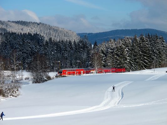 Ausflug in den Schwarzwald
