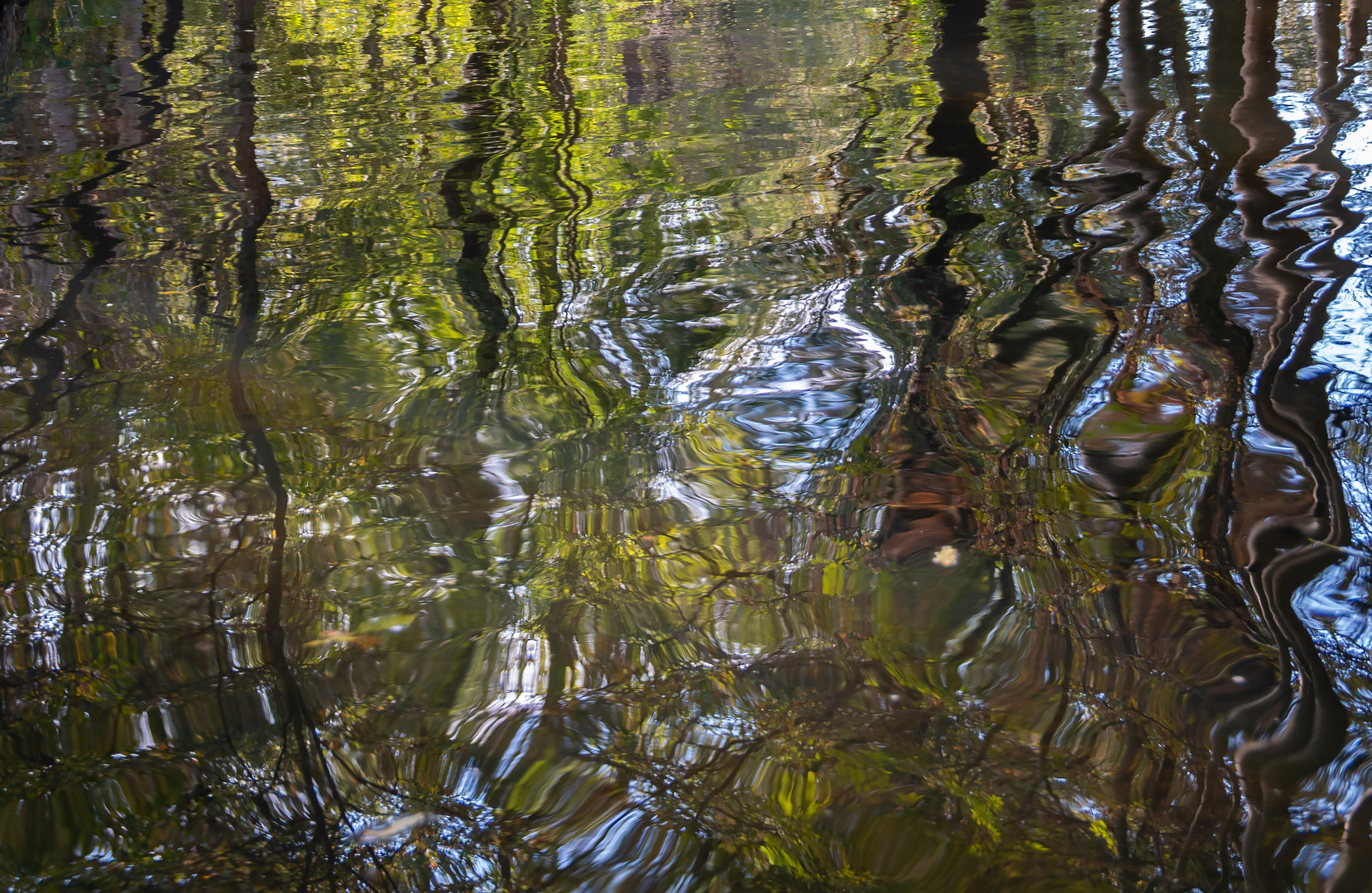 Ausflug in den Spreewald bei Cottbus