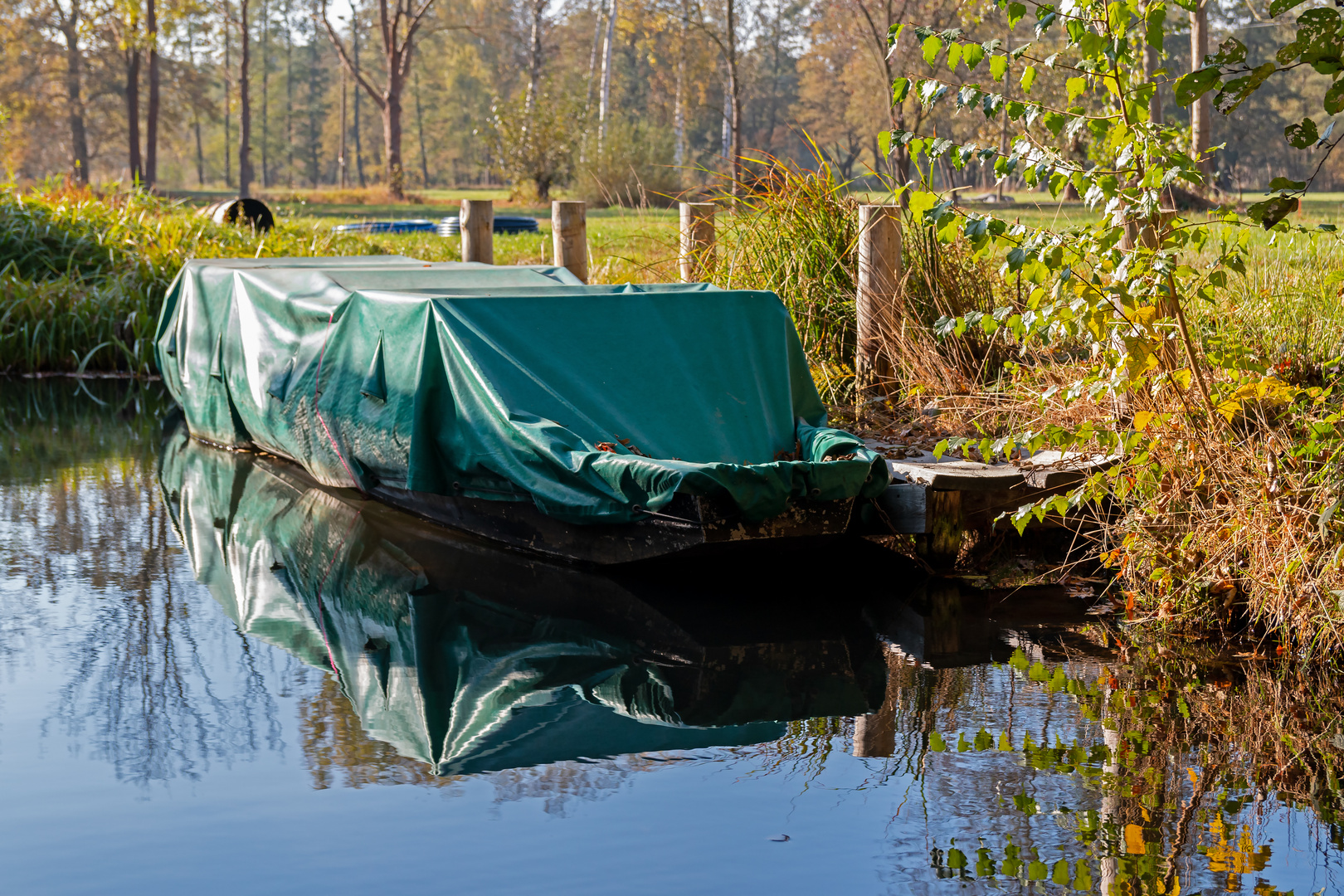 Ausflug in den Spreewald bei Cottbus