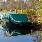 Ausflug in den Spreewald bei Cottbus