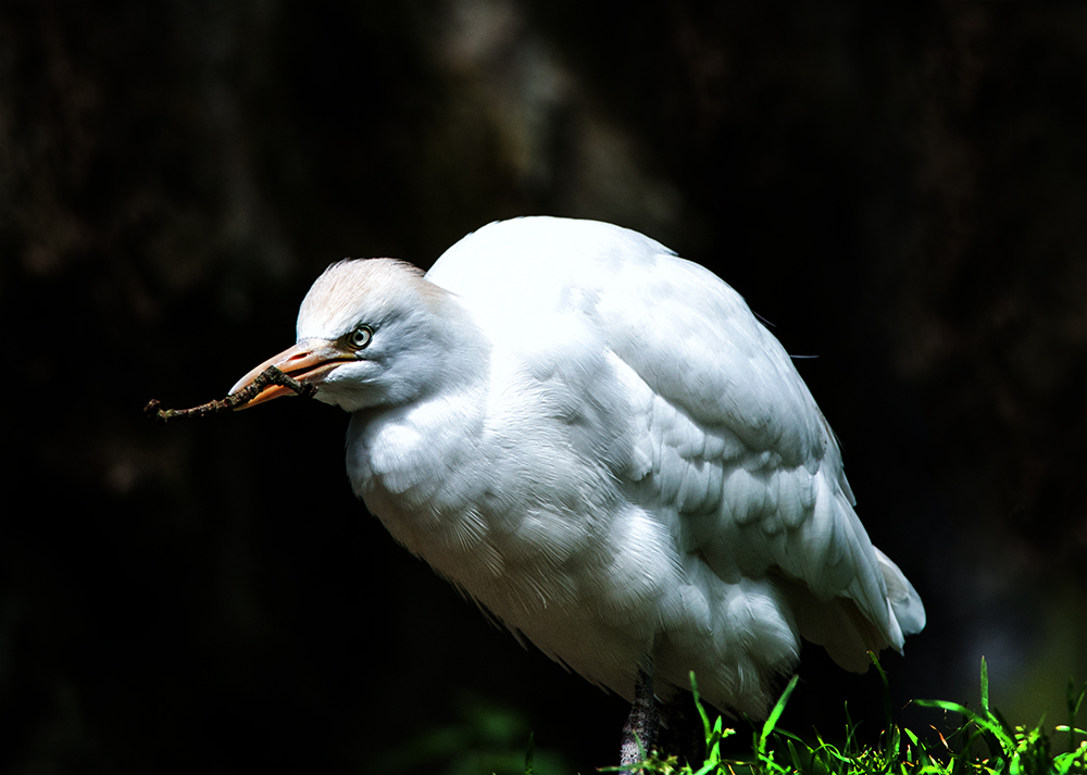 Ausflug in den Tierpark