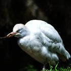 Ausflug in den Tierpark