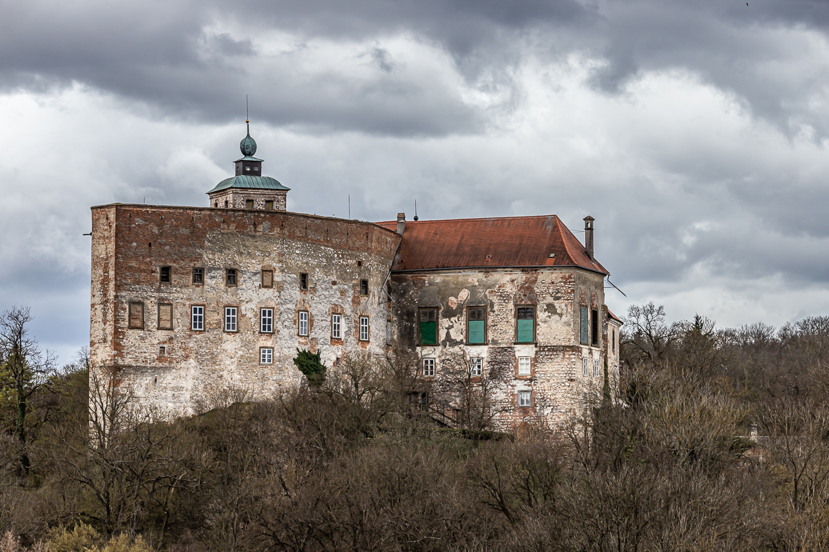 AUSFLUG IN DEN WILDPARK ERNSTBRUNN