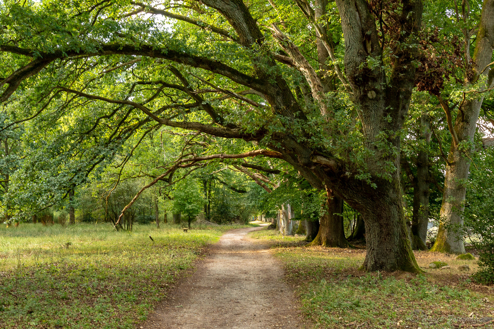 Ausflug in der Lüneburger Heide