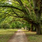 Ausflug in der Lüneburger Heide