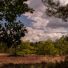 Ausflug in der Lüneburger Heide