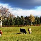 Ausflug in der Wetterau