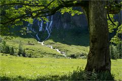 Ausflug in die Alpen