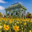 AUSFLUG IN DIE BLUMENGÄRTEN HIRSCHSTETTEN WIEN