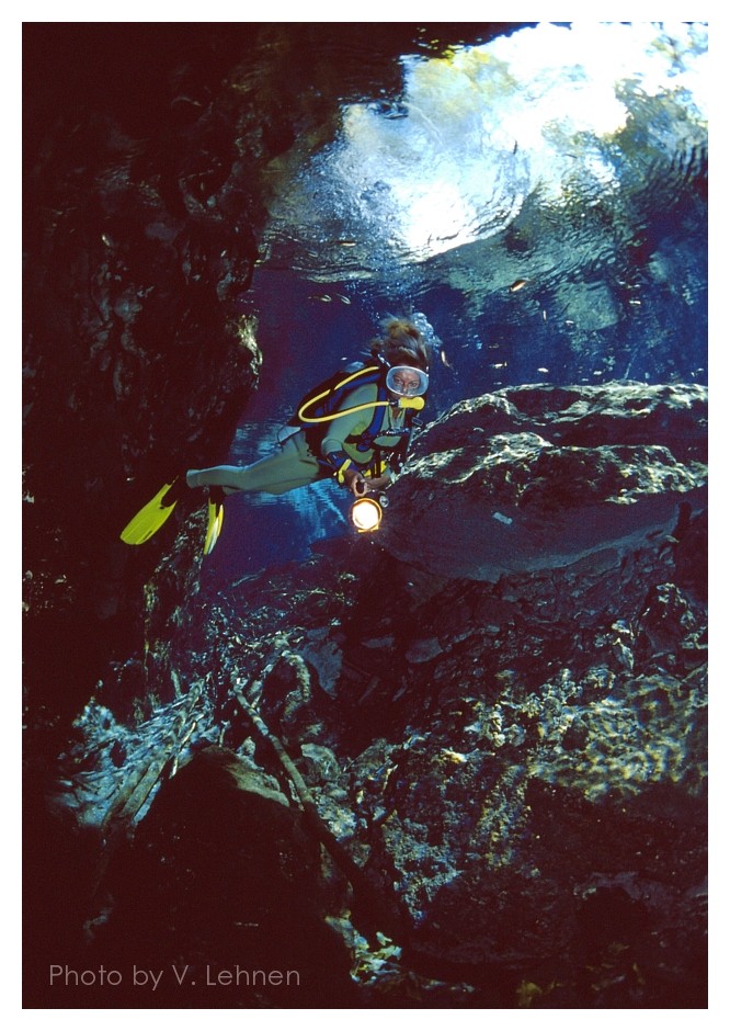 Ausflug in die Cenoten bei Tulum - hier Gand Cenote