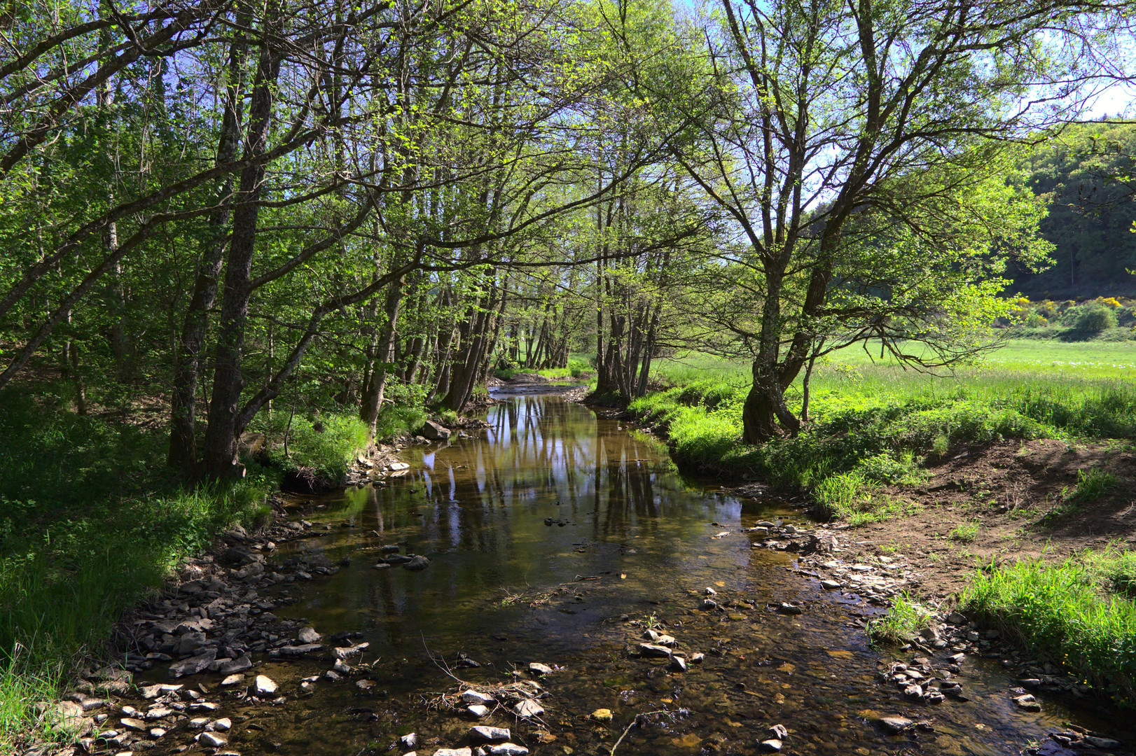 Ausflug in die Ginsterheide (1 von 10)