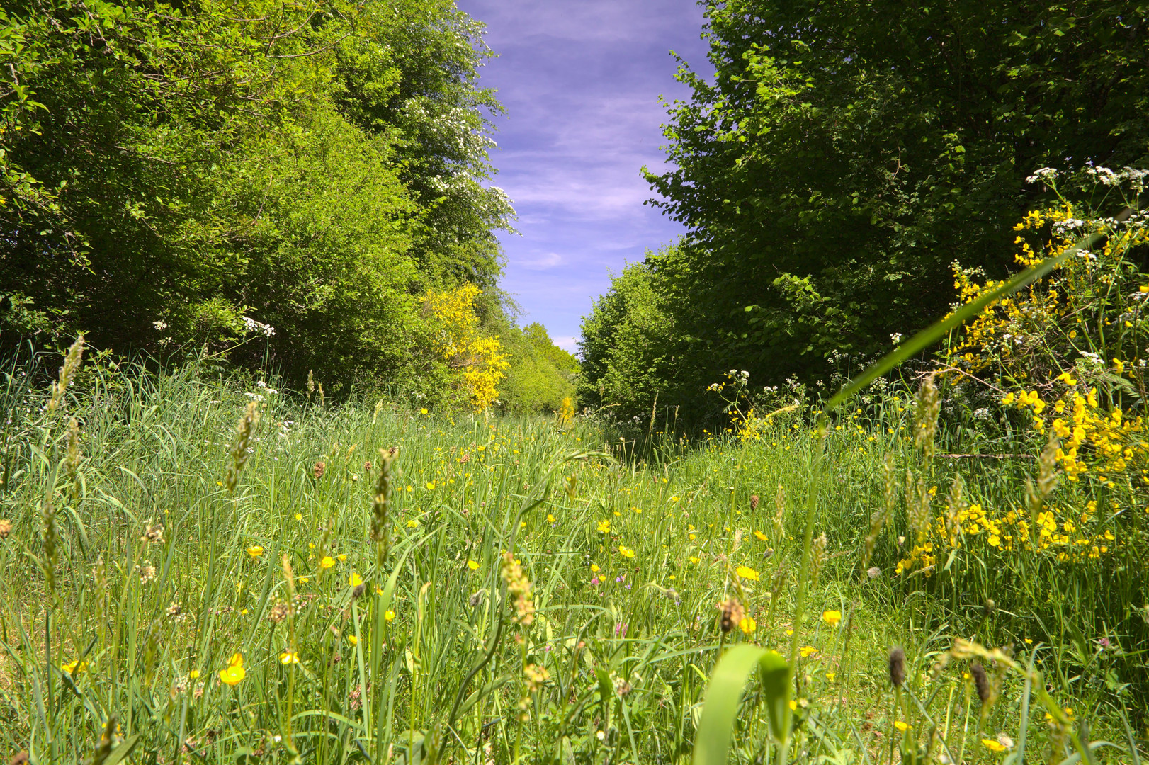 Ausflug in die Ginsterheide (8 von 10)